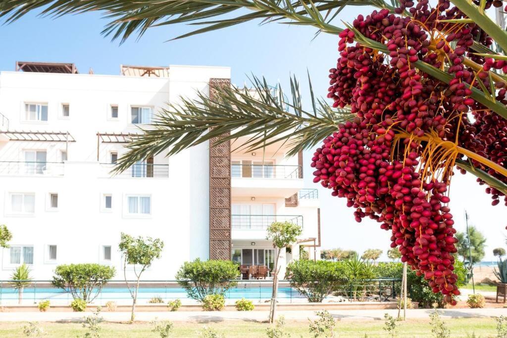 Private Beach Resort Cyprus Vokolidha Εξωτερικό φωτογραφία